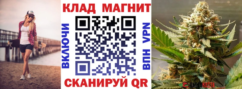 Виды наркоты Судогда Каннабис  Альфа ПВП  Псилоцибиновые грибы  COCAIN  ГАШ  АМФЕТАМИН 