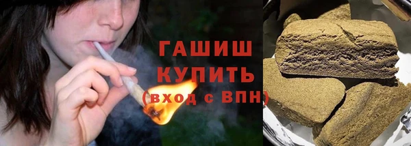 индика Осташков