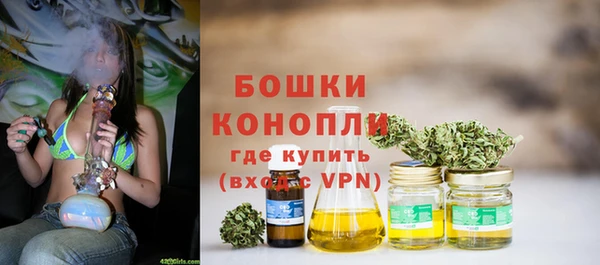 индика Осташков