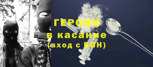 индика Осташков