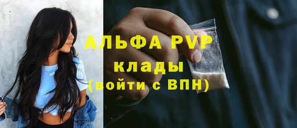 индика Осташков