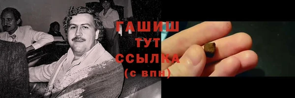 индика Осташков