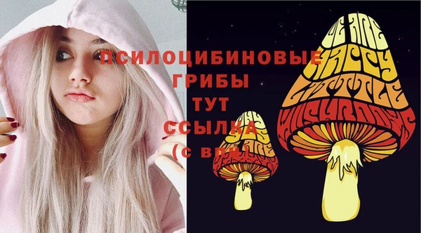 кокс Осинники