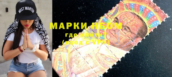 индика Осташков