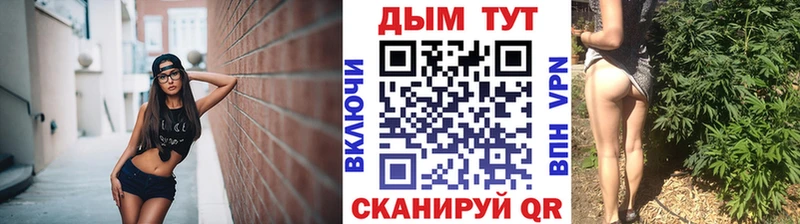 закладка  Судогда  Канабис индика 